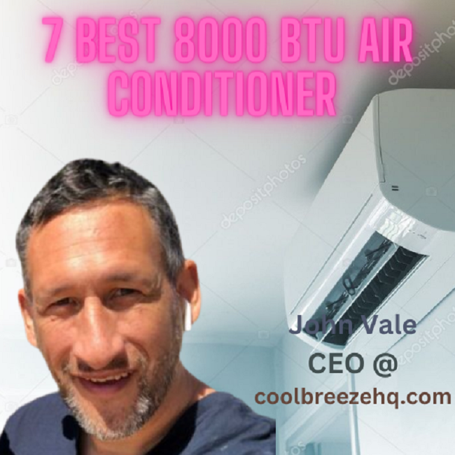 Best 8000 btu air conditioner